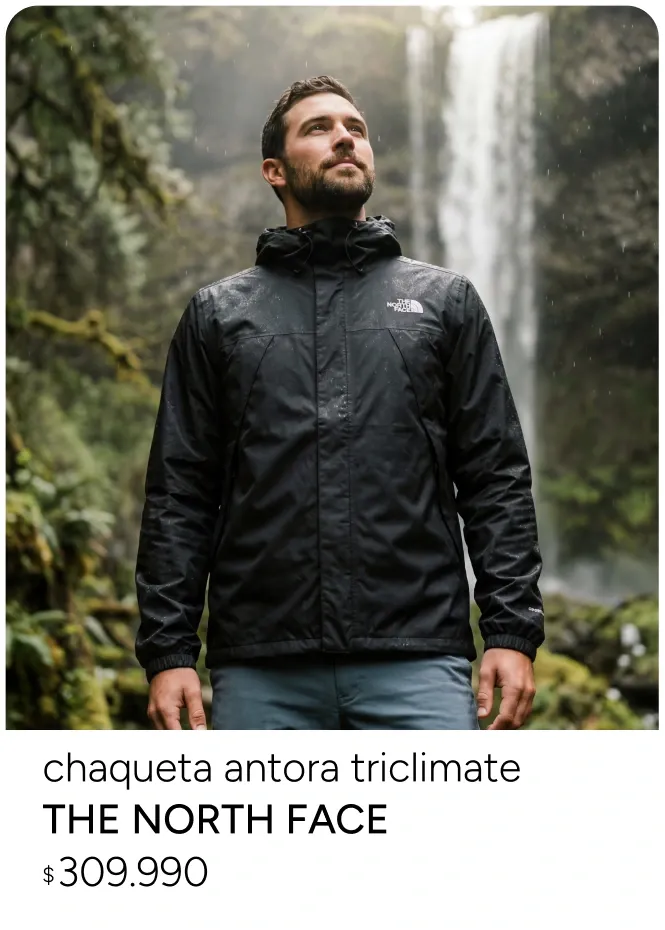 the north face